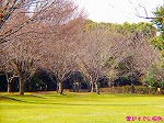 20090305ksm007.jpg