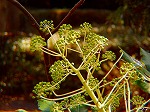 20090305ksm016.jpg