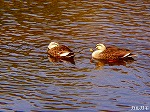 20090305ksm035.jpg