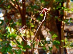 20090305ksm048.jpg