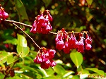 20090305ksm051.jpg