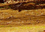 20090305ksm061k.jpg
