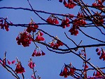20090305ksm069.jpg