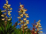 20090319msg014.jpg