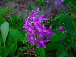 20090319msg022.jpg