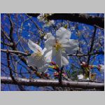 20090402msg001.jpg