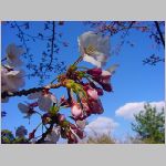 20090402msg004.jpg