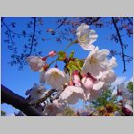 20090402msg005.jpg