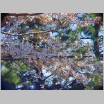 20090402msg009.jpg