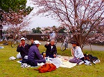 P4050026.jpg