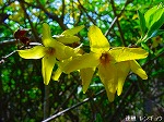 20090413yth011.jpg
