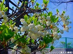 20090413yth034.jpg