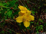 20090413yth043.jpg