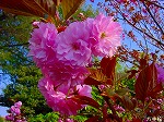 20090413yth048.jpg