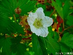 20090413yth060.jpg