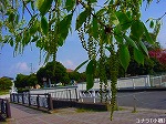 20090413yth063.jpg
