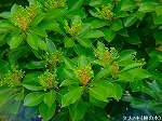 20090413yth093.jpg