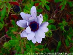 20090413yth118.jpg