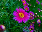 20090413yth122.jpg