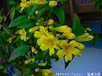 20090413yth126.jpg