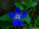 20090413yth132.jpg