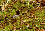 20090416aob019k.jpg