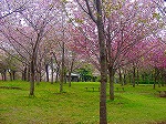20090416aob105.jpg