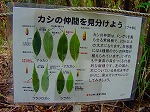 20090416aob134.jpg