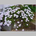 DSC04560.jpg