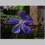 DSC04590.jpg