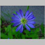 DSC04602.jpg