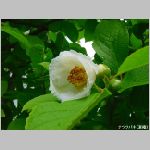 20090615amn011.jpg