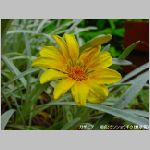 20090615amn036.jpg