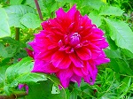 20090616com018.jpg