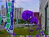 20090620msg009.jpg