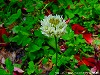 20090620msg073.jpg
