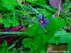 20090620msg076.jpg