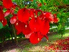 20090620msg077.jpg