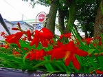 20090625chp072.jpg