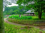 20090625chp037.jpg