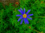 20090805cc031.jpg