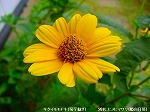 20090805cc062.jpg