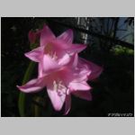 20090812uch003k.jpg