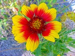 20090817msg034.jpg