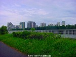 20090821msg001.jpg