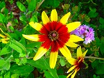 20090821msg025.jpg