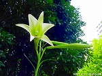 20090821msg040.jpg