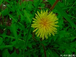20090821msg052.jpg