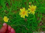 20090821msg053.jpg