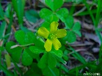 20090821msg054.jpg